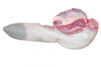 FROZEN BEEF TONGUE