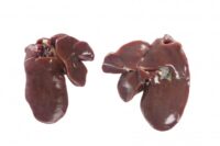 FROZEN CHICKEN LIVER